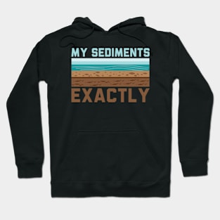 My Sediments Exactly - Funny Geologist Geology Hoodie